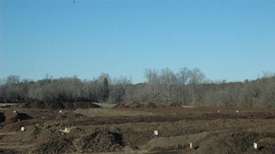 Organic Compost Photo